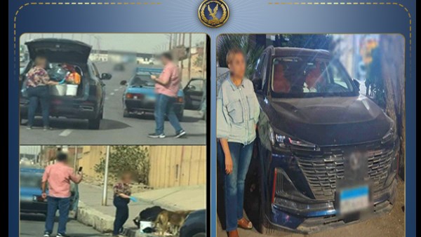 اطعام الكلاب الضالة يتحول إلى مواجهة مع القانون