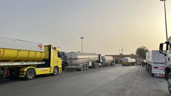  الهلال الأحمر المصري