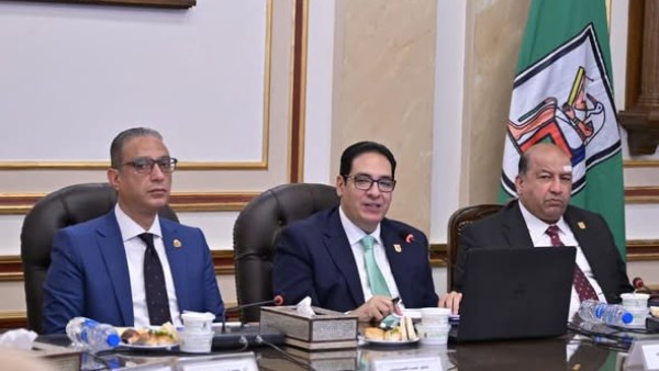  مجلس جامعة القاهرة 