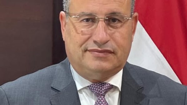  الدكتور عبدالعزيز قنصوة، وزير التعليم العالي والبحث العلمي