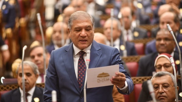 وكيل لجنة العلاقات الخارجية بمجلس الشيوخ
