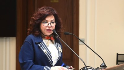 آمال عبدالحميد عضو مجلس النواب 