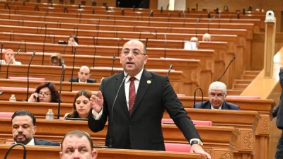 د.احمد العطيفي