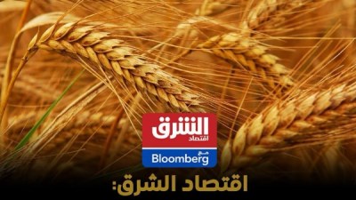 “اقتصاد الشرق مع بلومبرج” تشيد بارتفاع توريدات القمح المحلي إلى 4.6 مليون طن