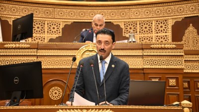 النائب محمد رزق