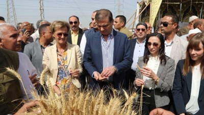 وزارة الزراعة: طفرة تاريخية في الأمن الغذائي والإنتاج الزراعي خلال 12 عامًا من الإنجازات في عهد الرئيس السيسي