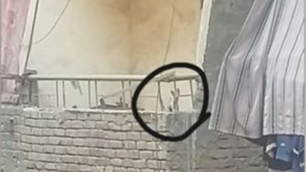 صوره من الواقعة