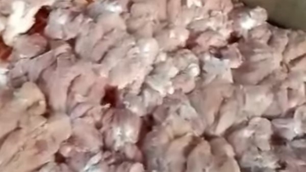 المضبوطات