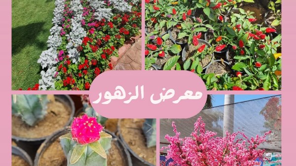 معرض الزهور 