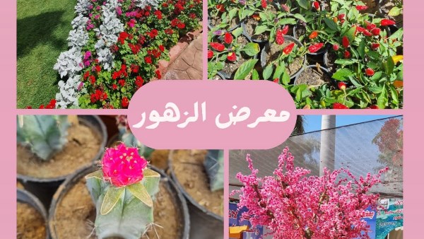 ارشيفيه