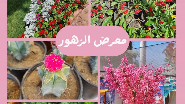 ارشيفيه