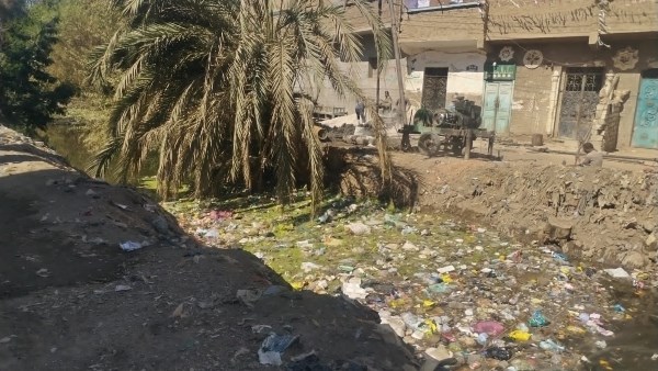 صورة توضيحية 