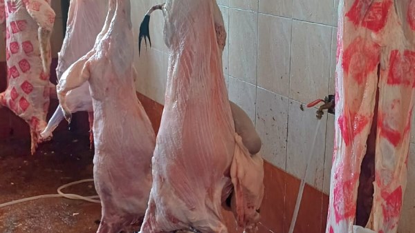 محافظة البحيرة 