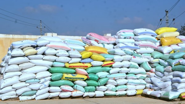 توريد القمح في البحيرة 