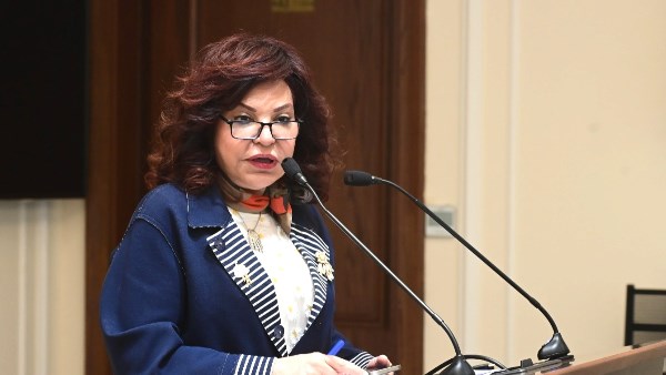 آمال عبدالحميد عضو مجلس النواب 