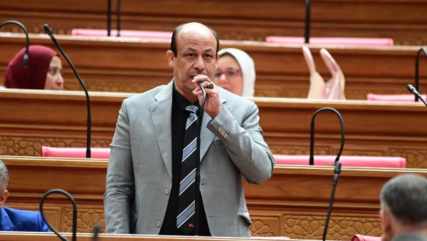 سمير البيومي عضو مجلس النواب 