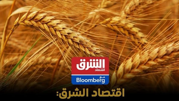 “اقتصاد الشرق مع بلومبرج” تشيد بارتفاع توريدات القمح المحلي إلى 4.6 مليون طن