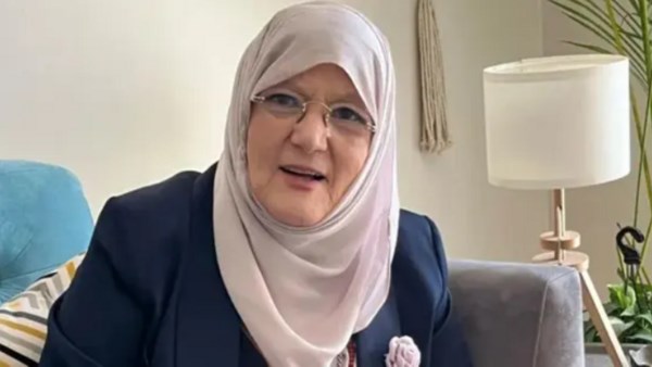  شمس البارودي