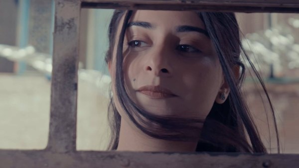 الفيلم الروائي القصير الشباك
