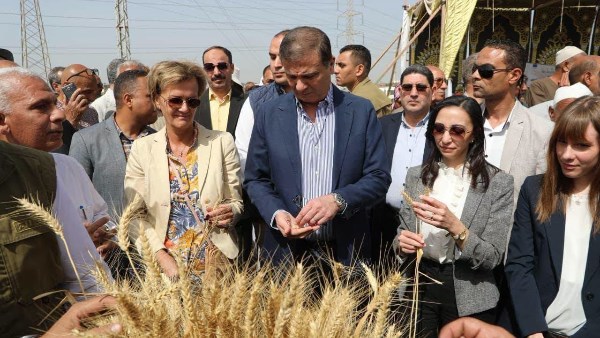 وزارة الزراعة: طفرة تاريخية في الأمن الغذائي والإنتاج الزراعي خلال 12 عامًا من الإنجازات في عهد الرئيس السيسي