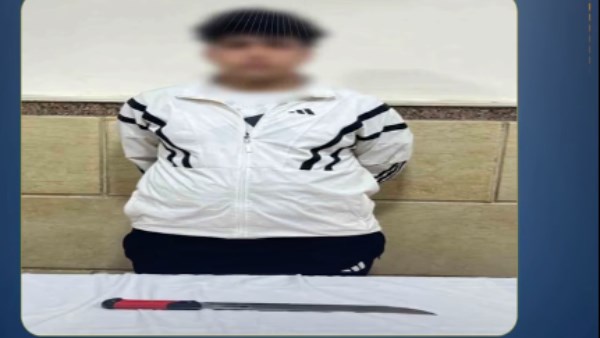 الأمن يضبط المعتدي على سيدة بالإسماعيلية