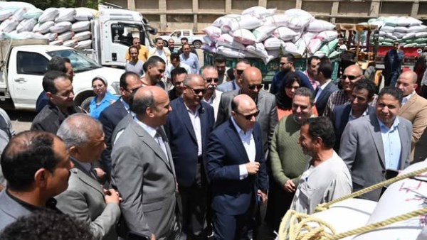 ر أعمال توريد محصول القمح المحلي