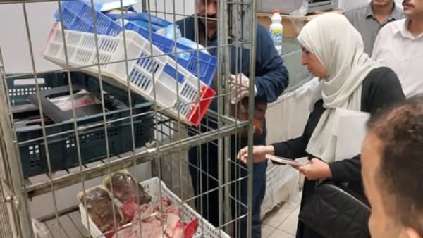 جهود مديرية التموين