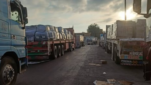  الهلال الأحمر المصري