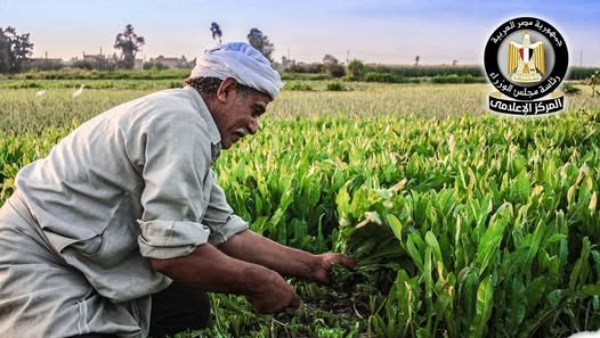 «كارت الفلاح الذكي»