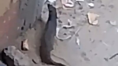 بيطري الفيوم يكشف حقيقة الحيوان المتداول في أبشواي ويوجه رسالة للمواطنين