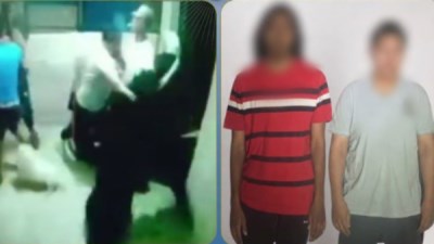 عامل بمقهى وخطيب كريمته يعتديان على سيدة بسبب إطعام الكلاب الضالة 