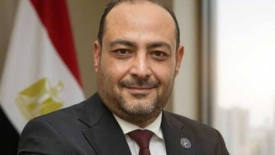  المهندس محمد مصطفى كشر، عضو مجلس الشيوخ
