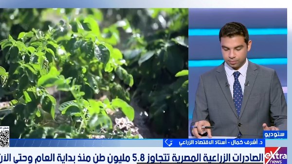 أستاذ الاقتصاد الزراعي: التوسع في التصدير يعزز مكانة المنتجات المصرية عالميًا