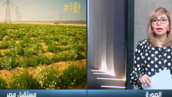 لميس الحديدي: القانون يحقق التوازن بين دور الجهاز ومبادئ الدولة الاقتصادية