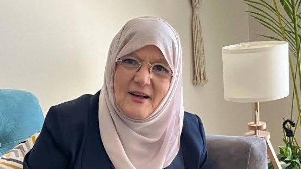 شمس البارودي