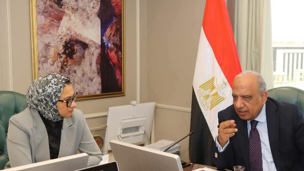 الدكتور محمود عصمت وزير الكهرباء والطاقة المتجددة