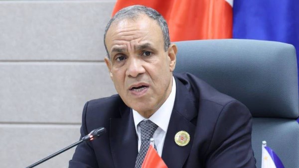 بدر عبد العاطي