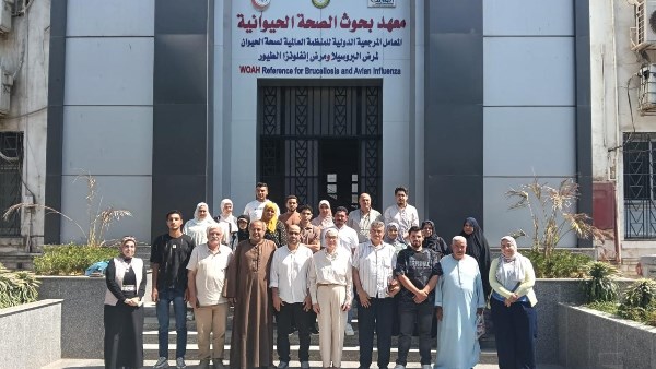بحوث الصحة الحيوانية ينظم دورة تدريبية لصغار المربين من 10 محافظات لدعم الثروة الحيوانية
