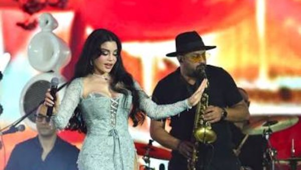 الفنانة هيفاء وهبي 