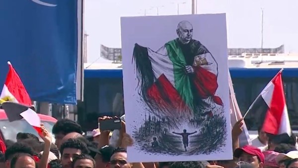 حسام حسن وعلم فلسطين.. أبرز لقطات استقبال جماهير مصر للمنتخب في العلمين