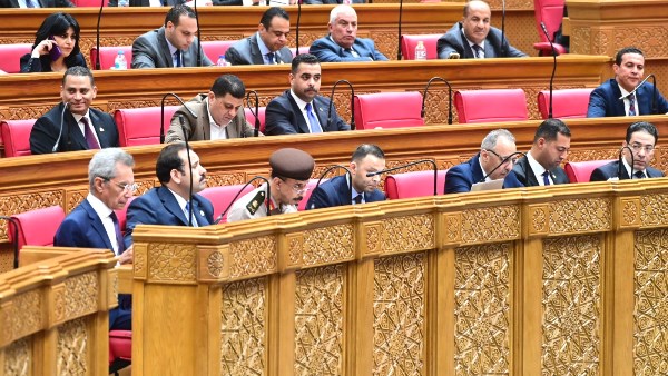 نواب يعلنون الموافقة على مشروع قانون جهاز مستقبل مصر: يعظم دور القطاع الخاص