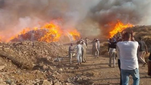 السيطرة على حريق شونة كتان بالغربية بعد الدفع بسيارات الإطفاء لمنع امتداد النيران