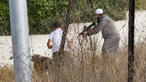 قصة فاروق عدنان.. شاب فلسطيني تصدر مشهد المواجهات في بلدة تل جنوب نابلس