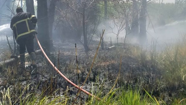 حريق أشجار داخل محطة مياه آبار الملك بسوهاج.. الحماية المدنية تسيطر عليه دون إصابات