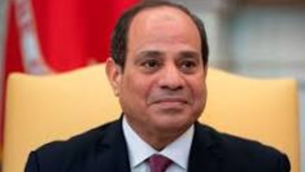 وزير الرياضة يكشف تفاصيل تكريم الرئيس السيسي للمنتخب الوطني 
