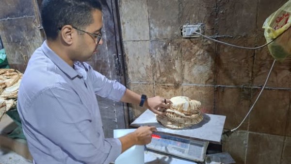 محافظ الغربية