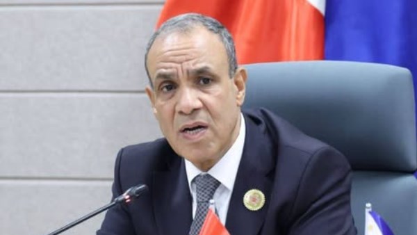  الدكتور بدر عبد العاطي، وزير الخارجية
