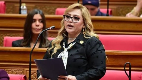  النائبة هبة غالي، عضو لجنة العلاقات الخارجية بمجلس النواب