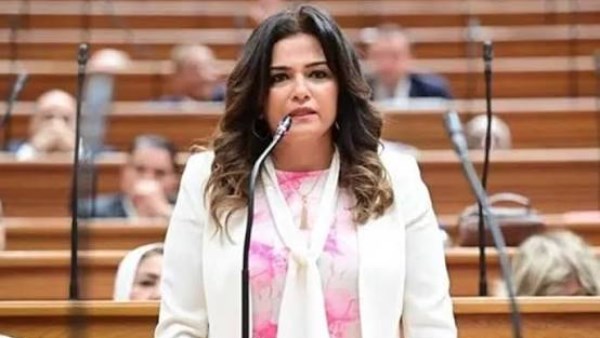 النائبة سحر طلعت مصطفى، رئيس لجنة السياحة بمجلس