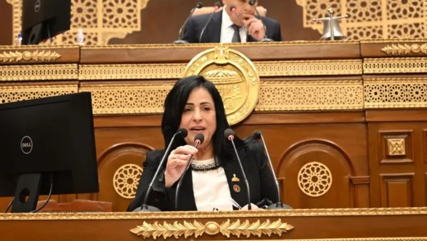  النائبة ميرال جلال الهريدي، عضو مجلس الشيوخ